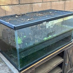 Free Reptile Tank