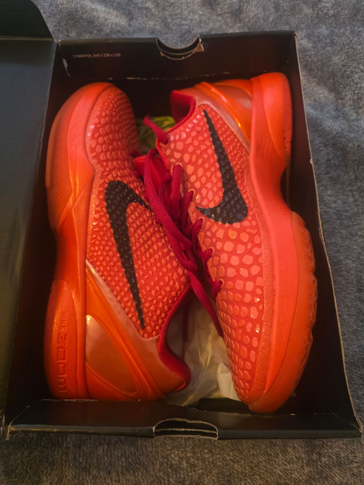 Kobe VI protro size 14
