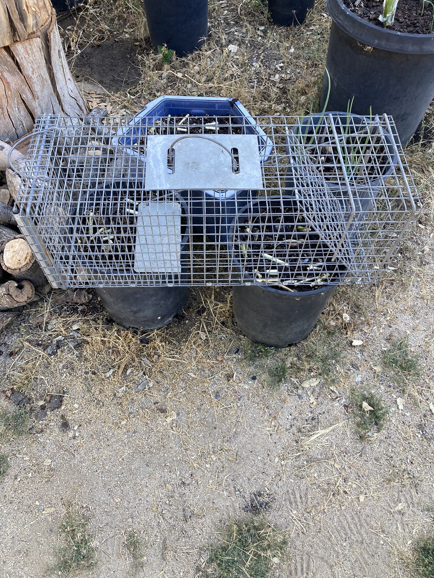 Live animal Trap / Cage