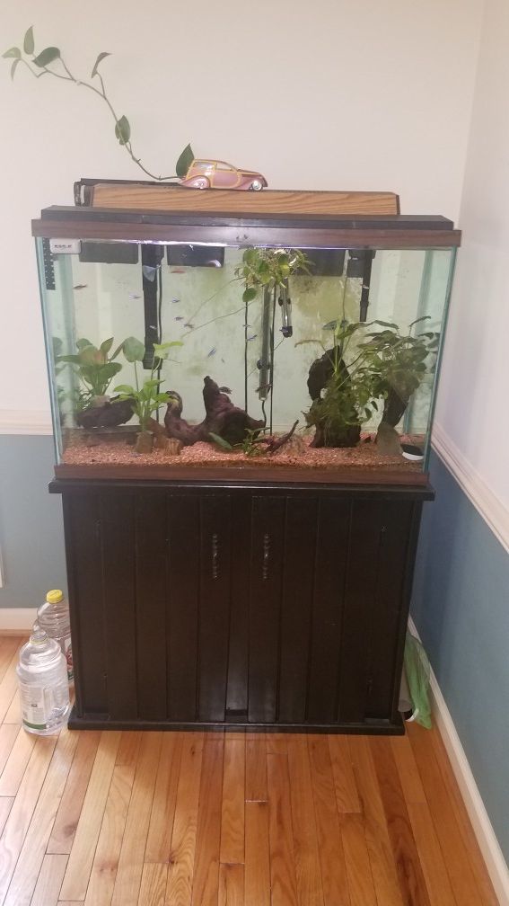 Fish tank