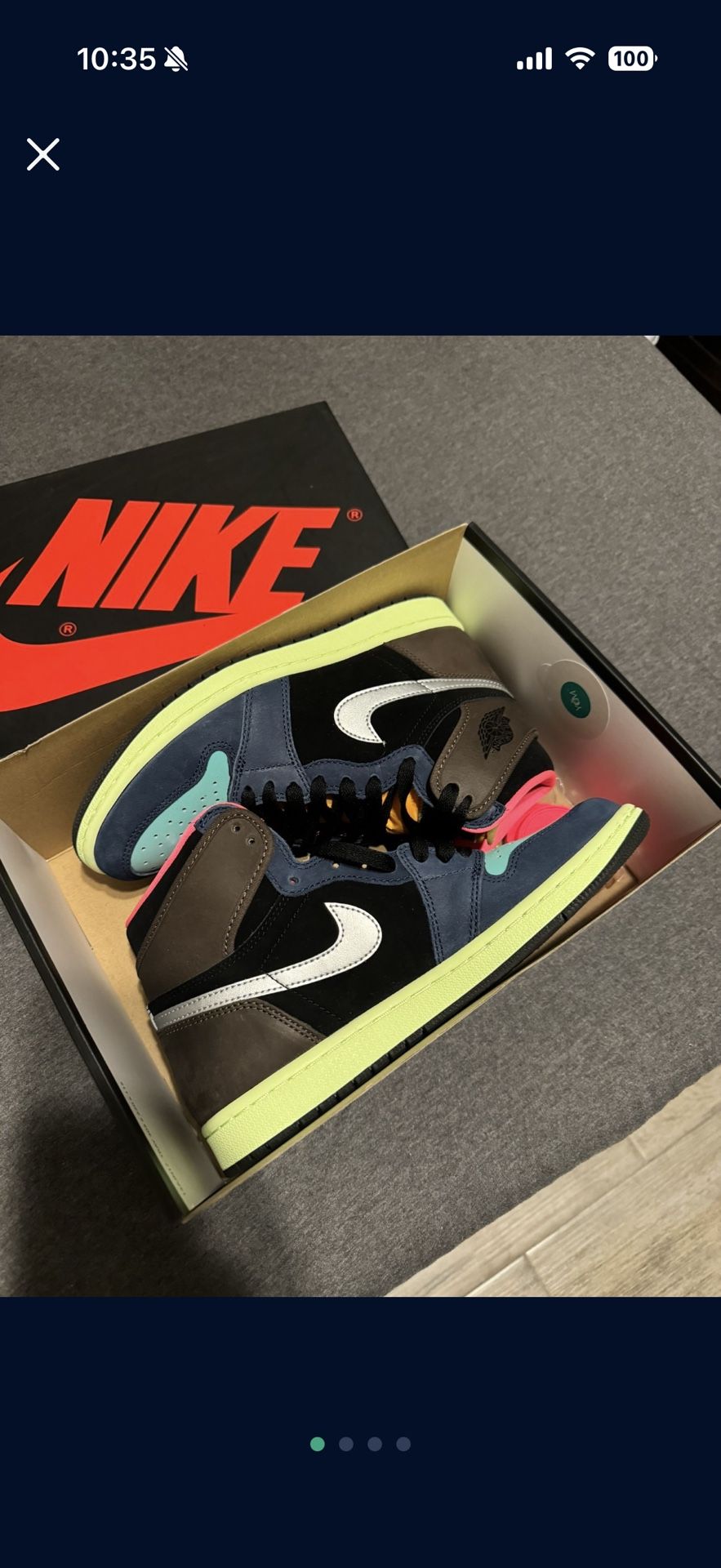 Air Jordan 1 Biohacks