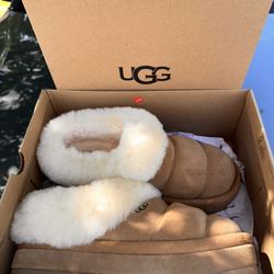 UGG W Tazzlita
