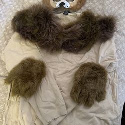 Lion costume