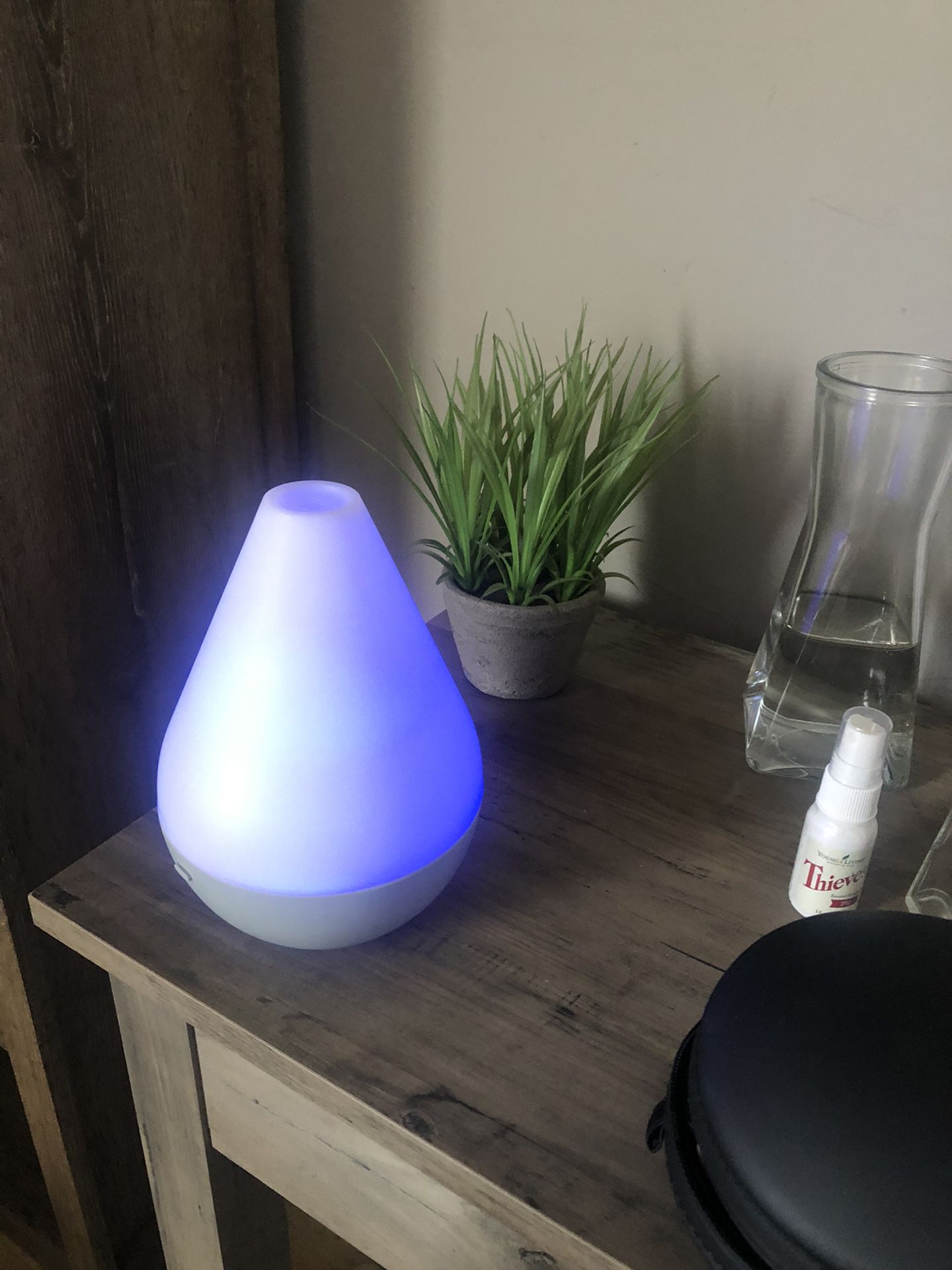 Beautiful diffuser and set of 12 oils /Young Living