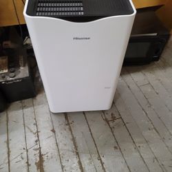 New 50-pints Hisense Dehumidifier With Built-in Pump 