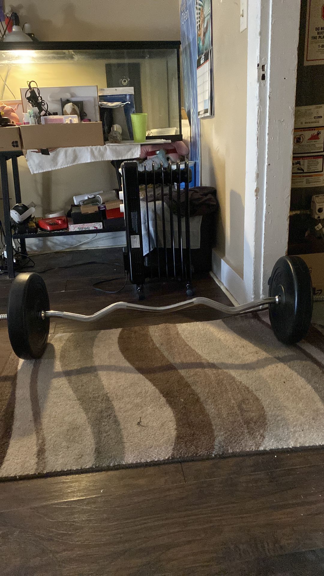 EZ-Curl Barbell and x2 25lb plates