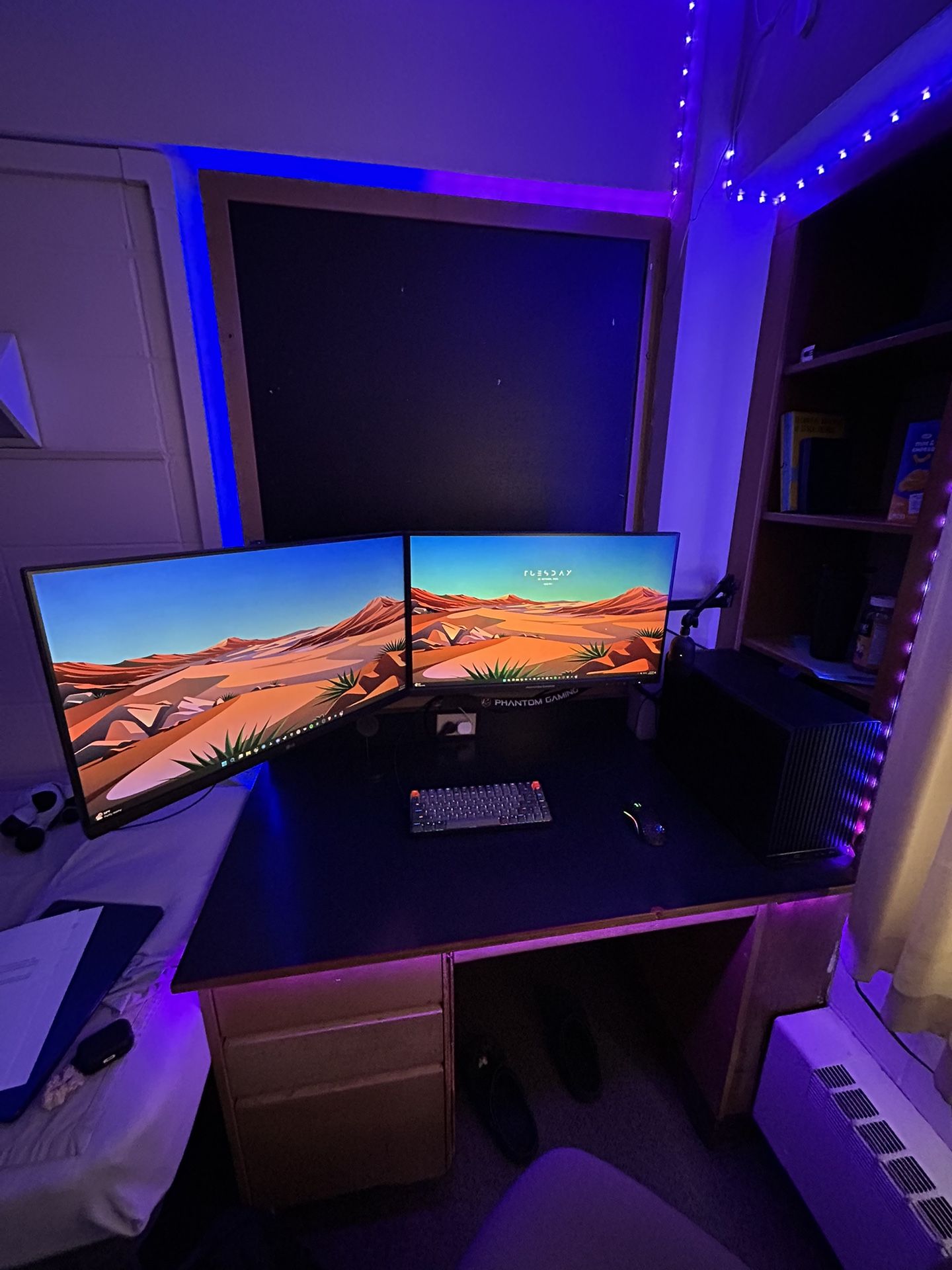 Full Gaming Setup (ENTIRE PC, 2 Monitors, and Accessories ALL included)