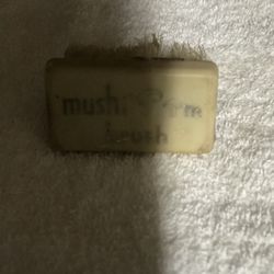 Vintage mushroom brush