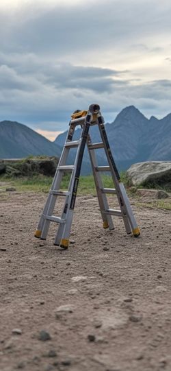 Gorilla 22 ft ladder