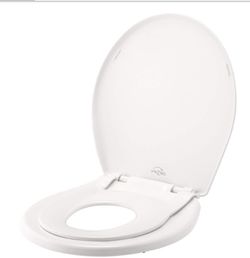 Toilet seat with potty training