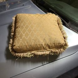 Set Of 2 Attractive Couch Pillows