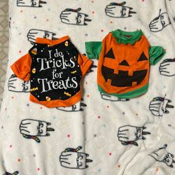 halloween dog shirts 🎃