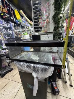 Small Glass Terrarium / Reptile Tank with Removable Screen Top (~5 Gallon)