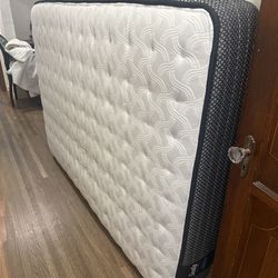 Full sealy mattress