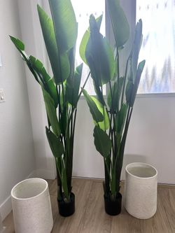 Two Large 6-foot artificial Bird of Paradise tree from City Furniture with TWO PLANTER POTS