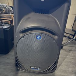 Mackie C300 Speakers