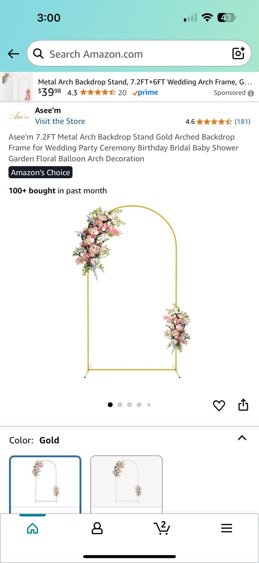 Arch for Party Decoration
