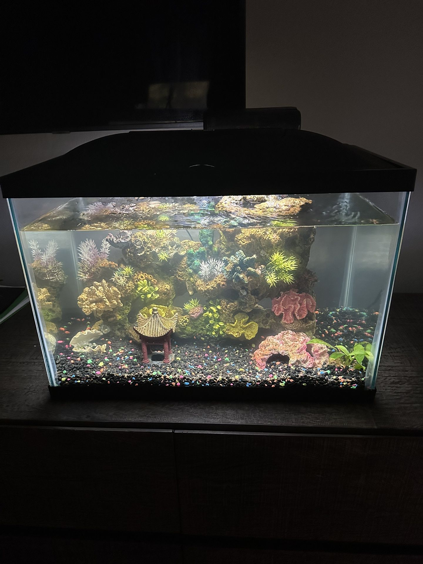 20 Gallon Marina Fish Tank 