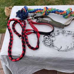 Dog Collars  And Chained
