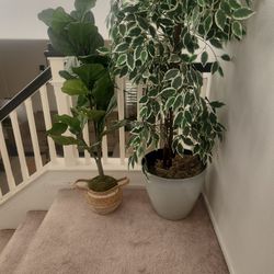 Plants Replica 4 Ft Tall
