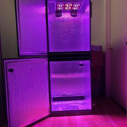 Grow Kit