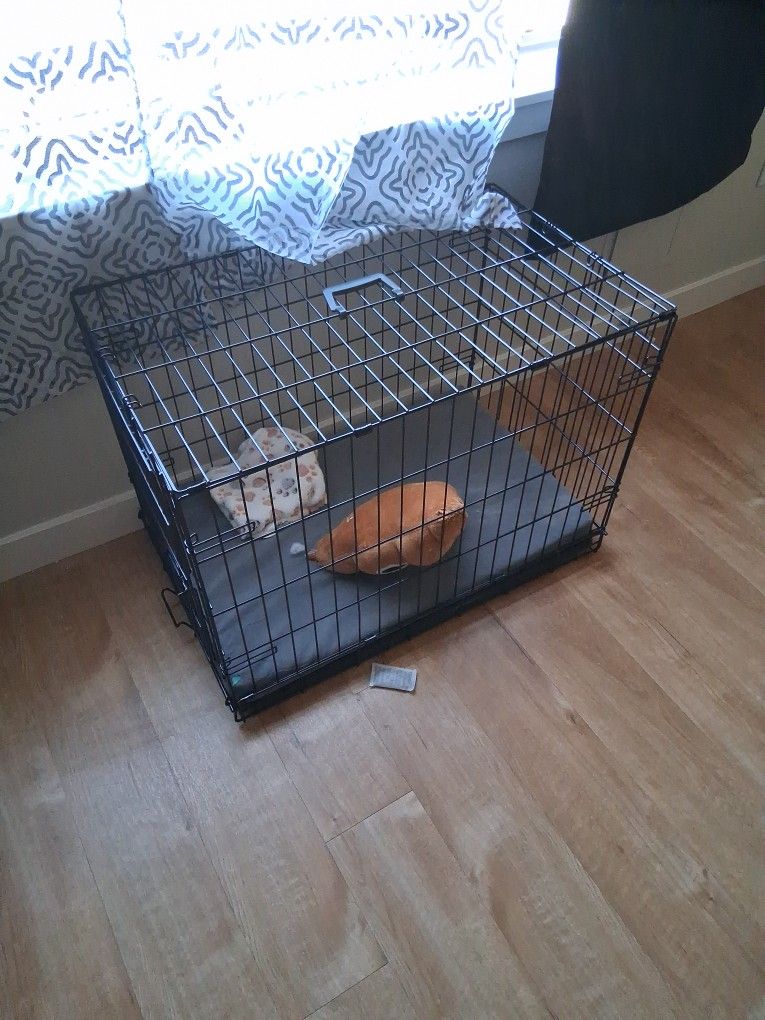 Dog Cages And Large Food Storage