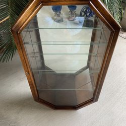 Curio Cabinet Display 