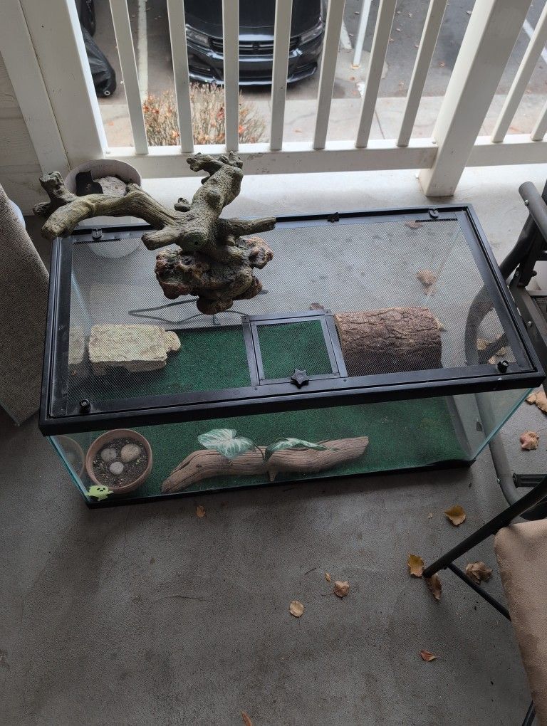Reptile Terrarium With Some Accessories 
