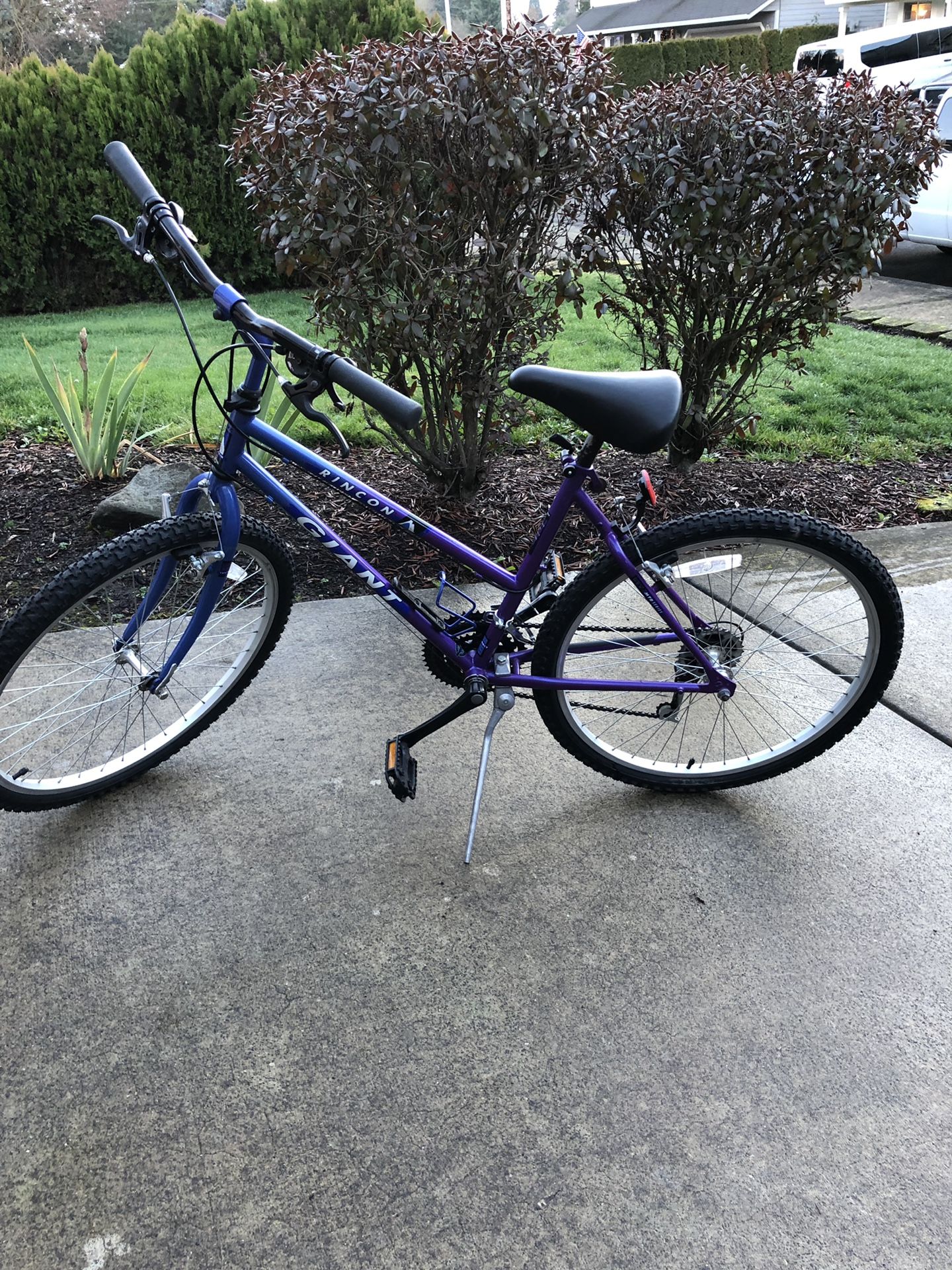 Giant Rincon like new women’s vintage mountain bike!!!