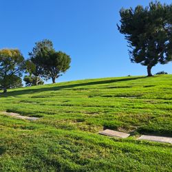 Forest Lawn Covina Hills  -  Prime Location Hilltop View