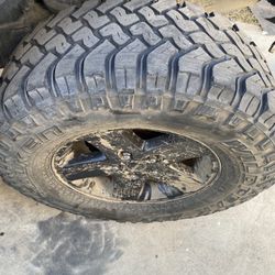 Off Road 17s