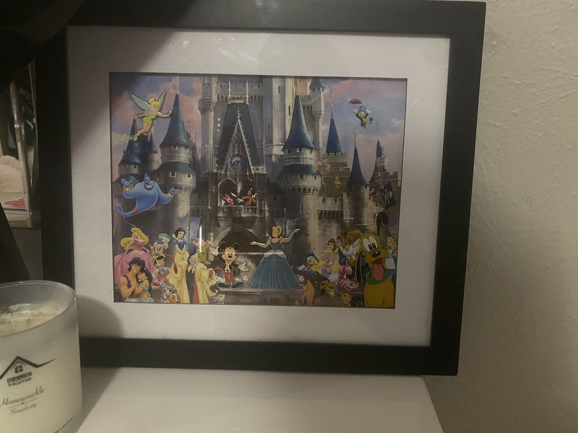 Disney Magic Kingdom Picture Frame