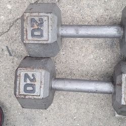 20lb Dumbells 