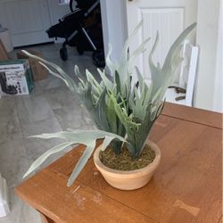 Fake Plant From Target