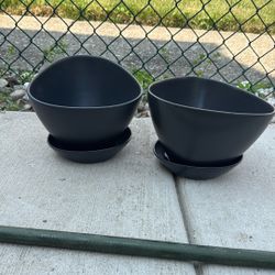2 Plants Base From IKEA