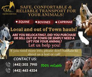 Livestock Transportation