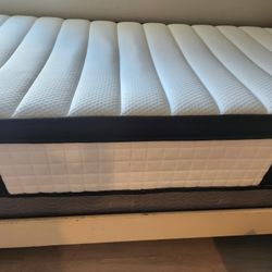 Twin Size Matress And Box Spring 