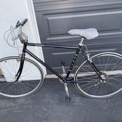 Fuji Sagres Nichibei Series Bike