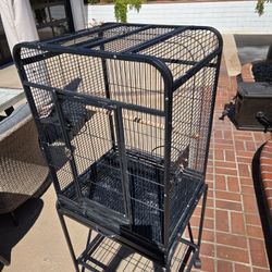 Parot Cage