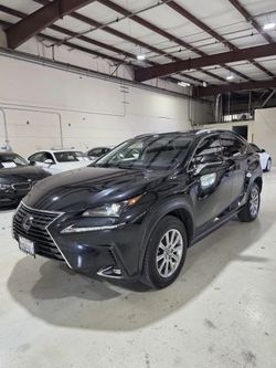 2020 Lexus NX