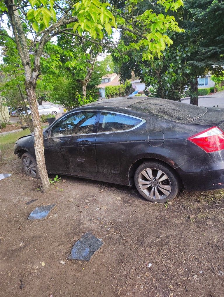2010 Honda Accord