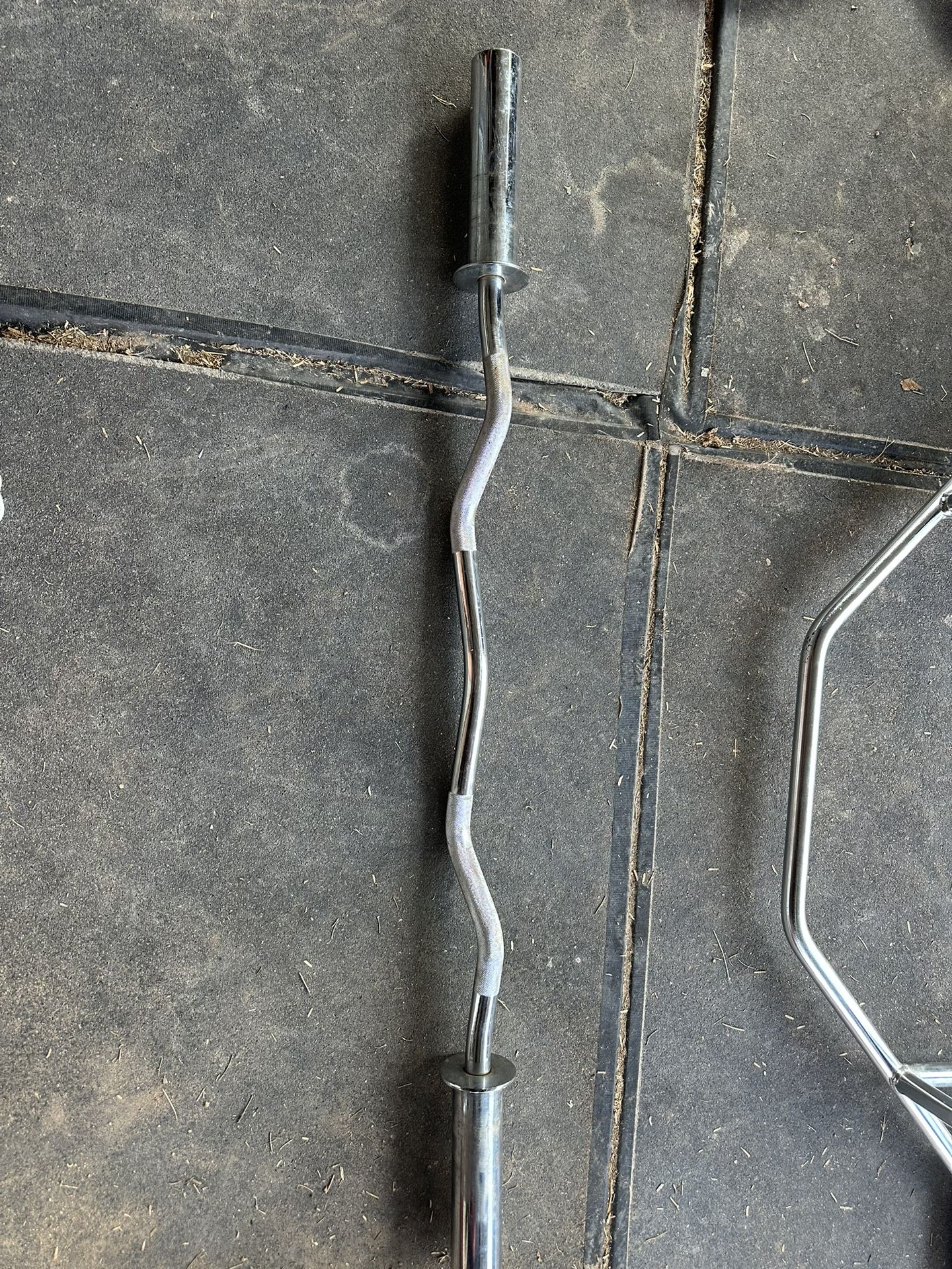 Olympic Curl Bar