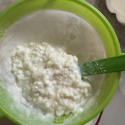  Búlgaros/Kefir Yogurt