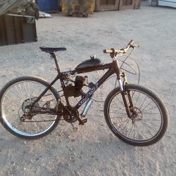 Gas Powered Bike