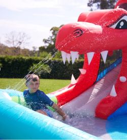 Happy Hop Dinosaur Cave Water Slide