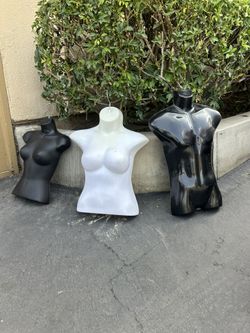 Maniquíes Medio Cuerpo    Y Cabeza 