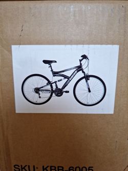 Adult Bicycle