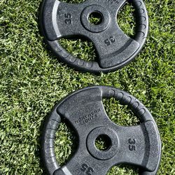Pair Of 35 Lb Weight Plates