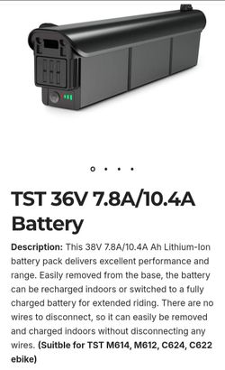 E Bike Battery with Charger 36V