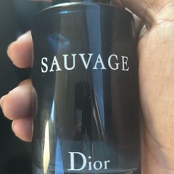 Dior Sausage 